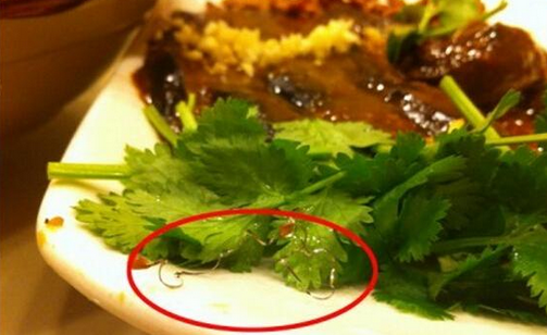 食客在餐厅吃到钢丝，餐厅被判赔偿食客206万，并罚款686万|餐饮界