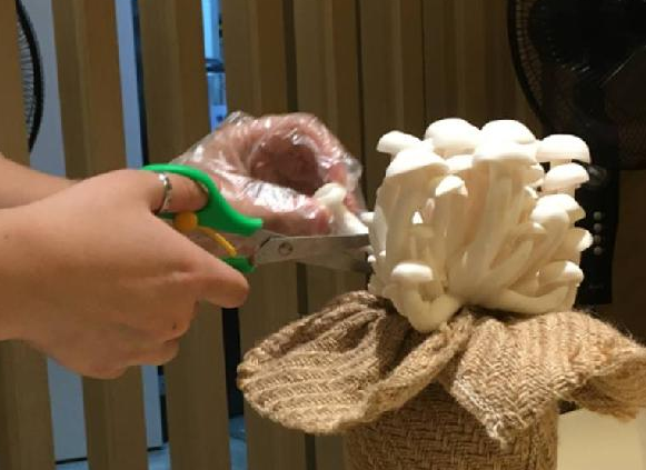 餐饮三巨头的“爆品”玄机，其实就是4个字