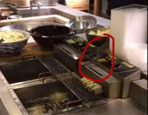 南京一知名餐厅油锅上蹲着活老鼠 顾客被吓傻|餐饮界