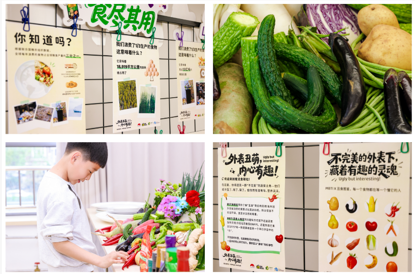 世界地球日实践：惜食魔法袋以“多元场景”搭建公众参与可持续生活的桥梁|餐饮界